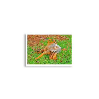 Poster print egona 0003