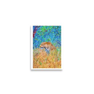 enhanced-matte-paper-poster-cm-a2-42x59.4-cm-front-68dae9232409c.jpg Poster print leopard 0001 A2 (42×59.4 cm)