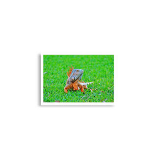 Poster print egona 0001