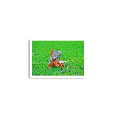 enhanced-matte-paper-poster-cm-a2-42x59.4-cm-front-68daeaac86003.jpg Poster print egona 0001 A2 (42×59.4 cm)