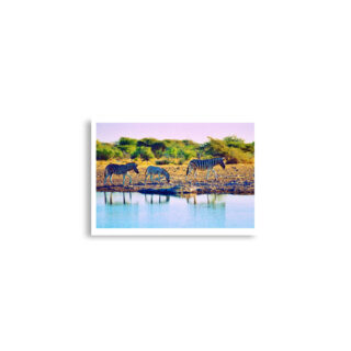 Poster print zebra 0005