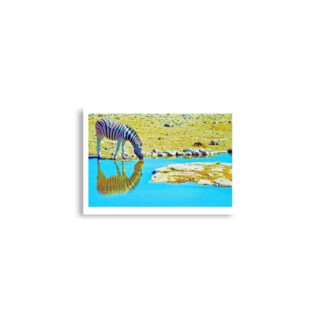 Poster print zebra 0001