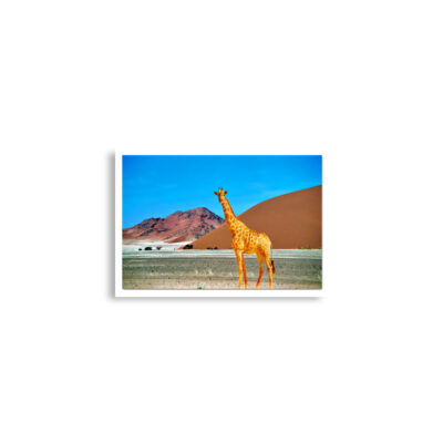 enhanced-matte-paper-poster-cm-a2-42x59.4-cm-front-68daf212385a9.jpg Poster print giraffe 0003 A2 (42×59.4 cm)