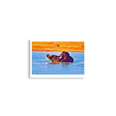 enhanced-matte-paper-poster-cm-a2-42x59.4-cm-front-68daf7a3ee7b8.jpg Poster print elephant 0003 A2 (42×59.4 cm)