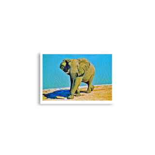enhanced-matte-paper-poster-cm-a2-42x59.4-cm-front-68daf7a4a082a.jpg Poster print elephant 0004 A2 (42×59.4 cm)