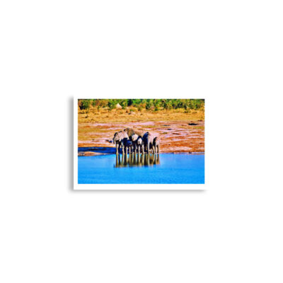 enhanced-matte-paper-poster-cm-a2-42x59.4-cm-front-68daf7a4e487e.jpg Poster print elephant 0001 A2 (42×59.4 cm)