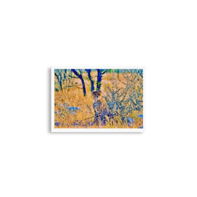 enhanced-matte-paper-poster-cm-a2-42x59.4-cm-front-68daf7a511134.jpg Poster print cheetah 0004 A2 (42×59.4 cm)