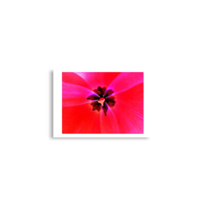 Poster print abstract flora  0003 A2 (42×59.4 cm)