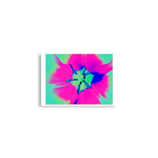 Poster print abstract flora  0005 A2 (42×59.4 cm)