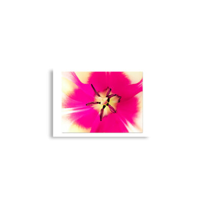 Poster print abstract flora  0006 A2 (42×59.4 cm)