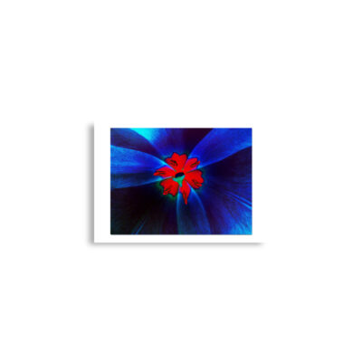 Poster print abstract flora  0009 A2 (42×59.4 cm)