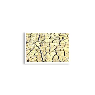 enhanced-matte-paper-poster-cm-a2-42x59.4-cm-front-68dc06e384dad.jpg Poster print israel negev 0003 A2 (42×59.4 cm)