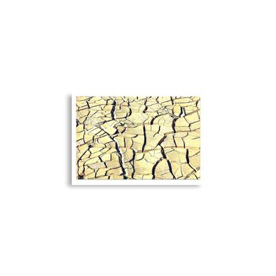 enhanced-matte-paper-poster-cm-a2-42x59.4-cm-front-68dc06e384dad.jpg Poster print israel negev 0003 A2 (42×59.4 cm)