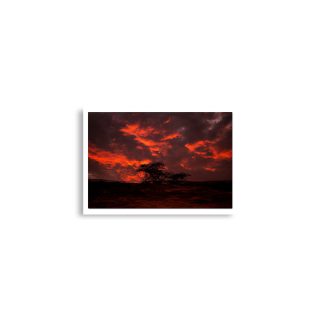 enhanced-matte-paper-poster-cm-a2-42x59.4-cm-front-68dc06e41332c.jpg Poster print israel negev 0006 A2 (42×59.4 cm)