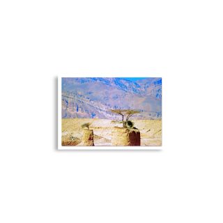 enhanced-matte-paper-poster-cm-a2-42x59.4-cm-front-68dc06e43bd3d.jpg Poster print israel negev 0005 A2 (42×59.4 cm)