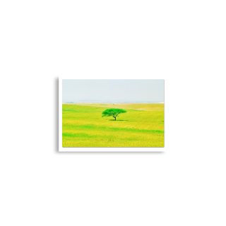 enhanced-matte-paper-poster-cm-a2-42x59.4-cm-front-68dc06e55dbe3.jpg Poster print israel negev 0002 A2 (42×59.4 cm)
