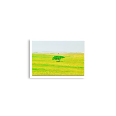 enhanced-matte-paper-poster-cm-a2-42x59.4-cm-front-68dc06e55dbe3.jpg Poster print israel negev 0002 A2 (42×59.4 cm)