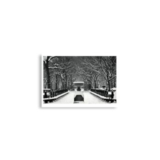enhanced-matte-paper-poster-cm-a2-42x59.4-cm-front-68dc12ad90b8f.jpg Poster print us new york city central park snow 0002x A2 (42×59.4 cm)