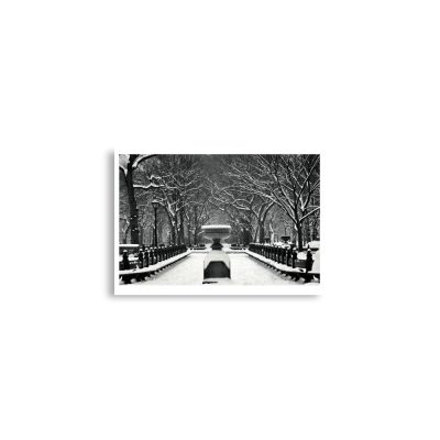 enhanced-matte-paper-poster-cm-a2-42x59.4-cm-front-68dc12ad90b8f.jpg Poster print us new york city central park snow 0002x A2 (42×59.4 cm)