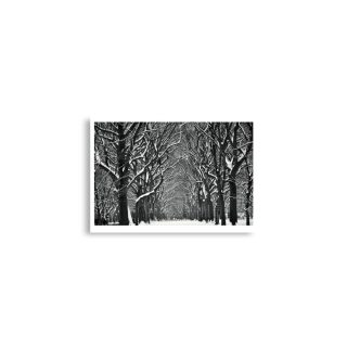 enhanced-matte-paper-poster-cm-a2-42x59.4-cm-front-68dc12ae11b3d.jpg Poster print us new york city central park snow 0001x A2 (42×59.4 cm)