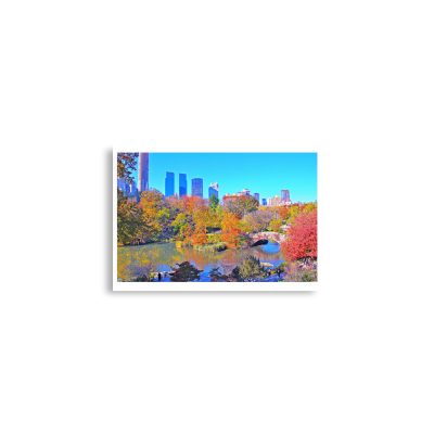 enhanced-matte-paper-poster-cm-a2-42x59.4-cm-front-68dc1538ab285.jpg Poster print usa new york city central park foliage 0012x A2 (42×59.4 cm)