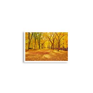 enhanced-matte-paper-poster-cm-a2-42x59.4-cm-front-68dc1538d8eea.jpg Poster print usa new york city central park foliage 0011x A2 (42×59.4 cm)