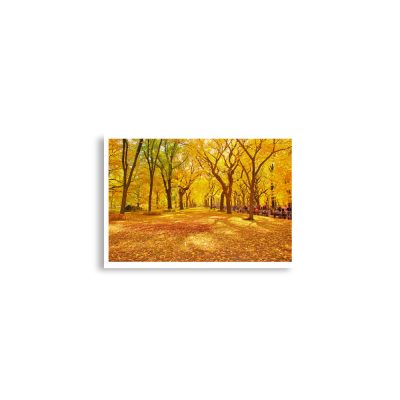 enhanced-matte-paper-poster-cm-a2-42x59.4-cm-front-68dc1538d8eea.jpg Poster print usa new york city central park foliage 0011x A2 (42×59.4 cm)