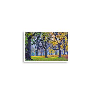 enhanced-matte-paper-poster-cm-a2-42x59.4-cm-front-68dc18b3c88e1.jpg Poster print usa new york city central park foliage 0003x A2 (42×59.4 cm)