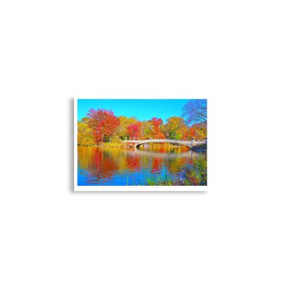 Poster print usa new york city central park foliage 0006x A2 (42×59.4 cm)