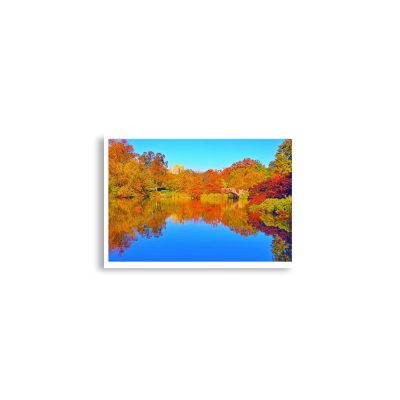 enhanced-matte-paper-poster-cm-a2-42x59.4-cm-front-68dc18b50462f.jpg Poster print usa new york city central park foliage 0002x A2 (42×59.4 cm)