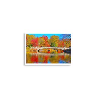 enhanced-matte-paper-poster-cm-a2-42x59.4-cm-front-68dc18b5c699f.jpg Poster print usa new york city central park foliage 0001x A2 (42×59.4 cm)
