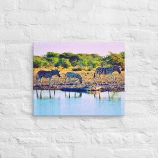 canvas-in-16x20-front-68ed56ad17936.jpg Canvas zebra 0005 16″×20″