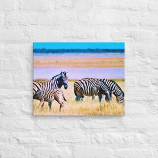 canvas-in-16x20-front-68ed5958f3a2e.jpg Canvas zebra 0003 16″×20″