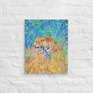 canvas-in-16x20-front-68ed602641dac.jpg Canvas leopard 0001 16″×20″