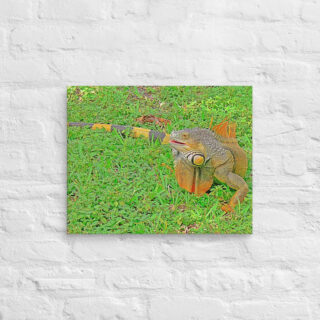 canvas-in-16x20-front-68ed718df149f.jpg Canvas egona 0002 16″×20″