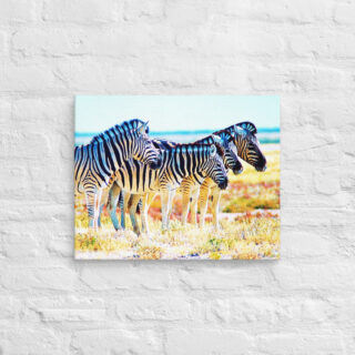 canvas-in-16x20-front-68ed78b71c597.jpg Canvas zebra 0002 16″×20″