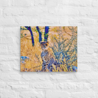 canvas-in-16x20-front-68ed9a3aba276.jpg Canvas cheetah 0004 16″×20″