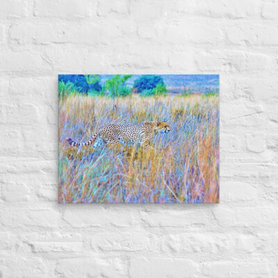 canvas-in-16x20-front-68ed9cfc8e0df.jpg Canvas cheetah 0001 16″×20″