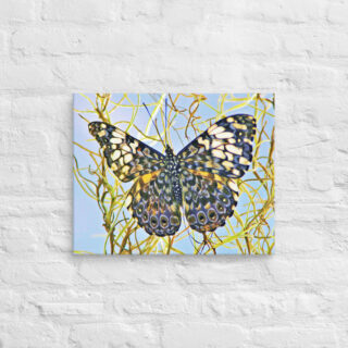 canvas-in-16x20-front-68eda0f06ff46.jpg Canvas butterfly 0007 16″×20″