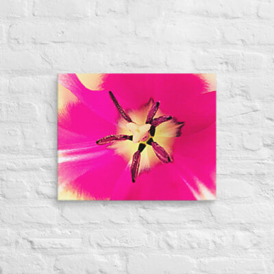canvas-in-16x20-front-68edc2e96a32d.jpg Canvas abstract flora 0006 16″×20″