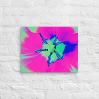 canvas-in-16x20-front-68edc43b82932.jpg Canvas abstract flora 0005 16″×20″