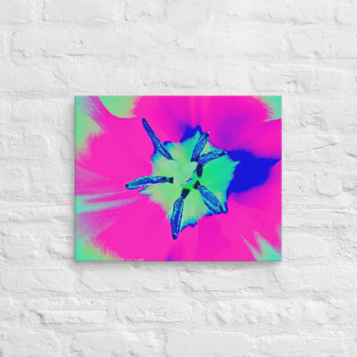 canvas-in-16x20-front-68edc43b82932.jpg Canvas abstract flora 0005 16″×20″
