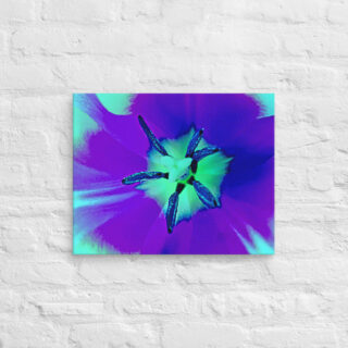 canvas-in-16x20-front-68edc52a26285.jpg Canvas abstract flora 0004 16″×20″