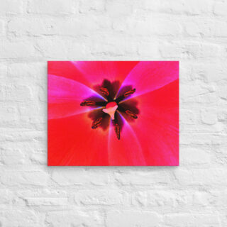 canvas-in-16x20-front-68edc5f2a03aa.jpg Canvas abstract flora 0003 16″×20″