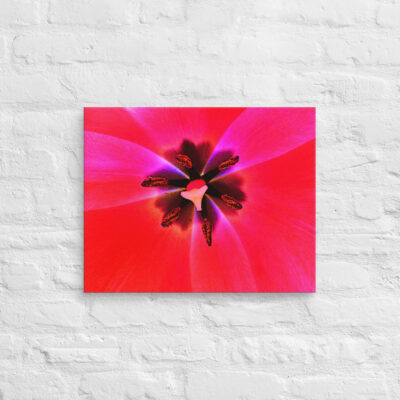canvas-in-16x20-front-68edc5f2a03aa.jpg Canvas abstract flora 0003 16″×20″