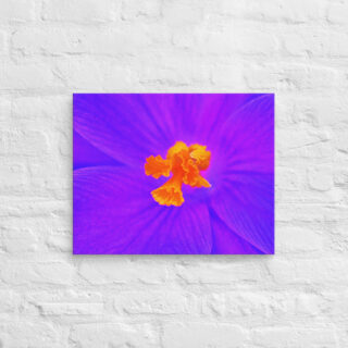canvas-in-16x20-front-68edc6bb7e57a.jpg Canvas abstract flora 0002 16″×20″