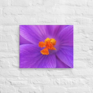 canvas-in-16x20-front-68edc76ad3623.jpg Canvas abstract flora 0001 16″×20″