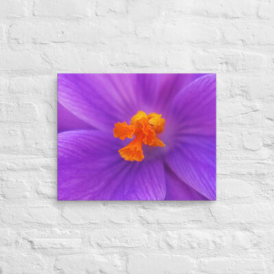 canvas-in-16x20-front-68edc76ad3623.jpg Canvas abstract flora 0001 16″×20″