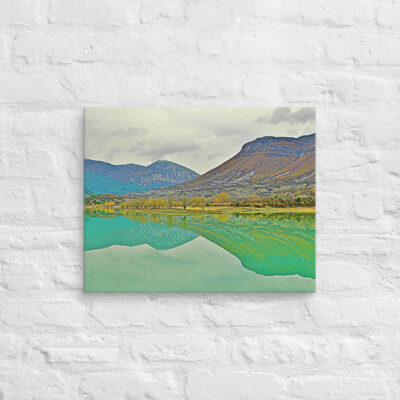 canvas-in-16x20-front-68ef0b74199cf.jpg Canvas spain foliage 0003 16″×20″