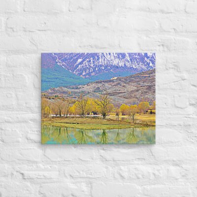 canvas-in-16x20-front-68ef0cc1402b8.jpg Canvas spain foliage 0002 16″×20″